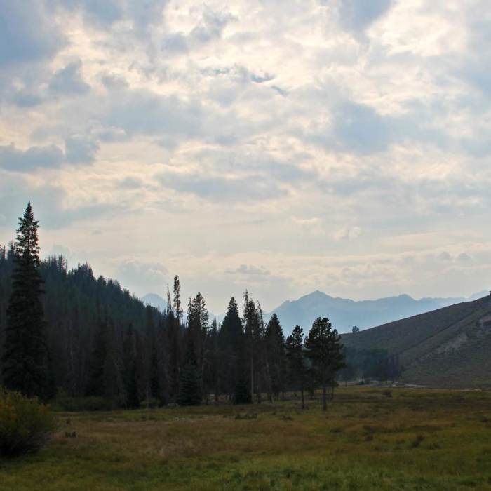 Near Washington Lake