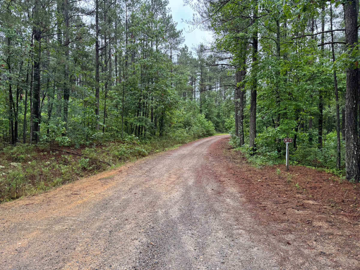 Deer Camp Pier trail photo