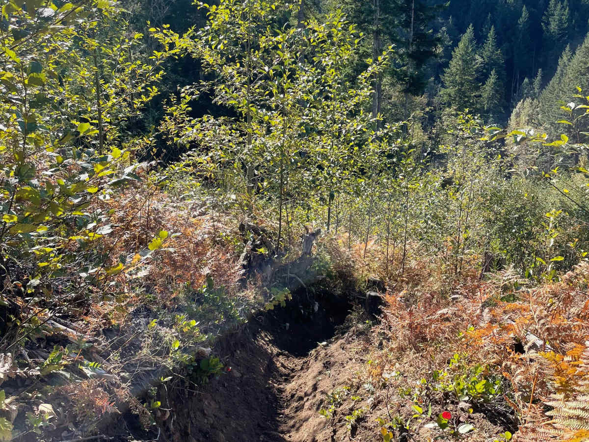 Hydro Option photo 4