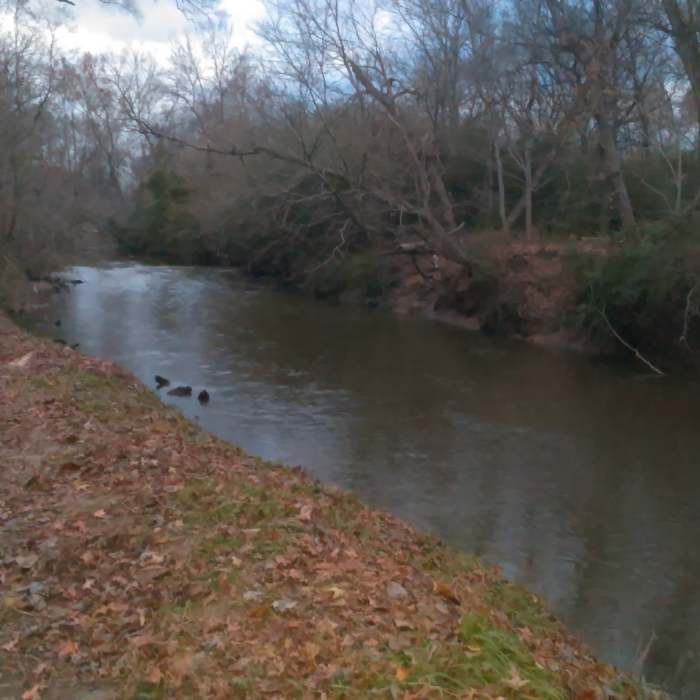 Near Crabtree Creek Trail