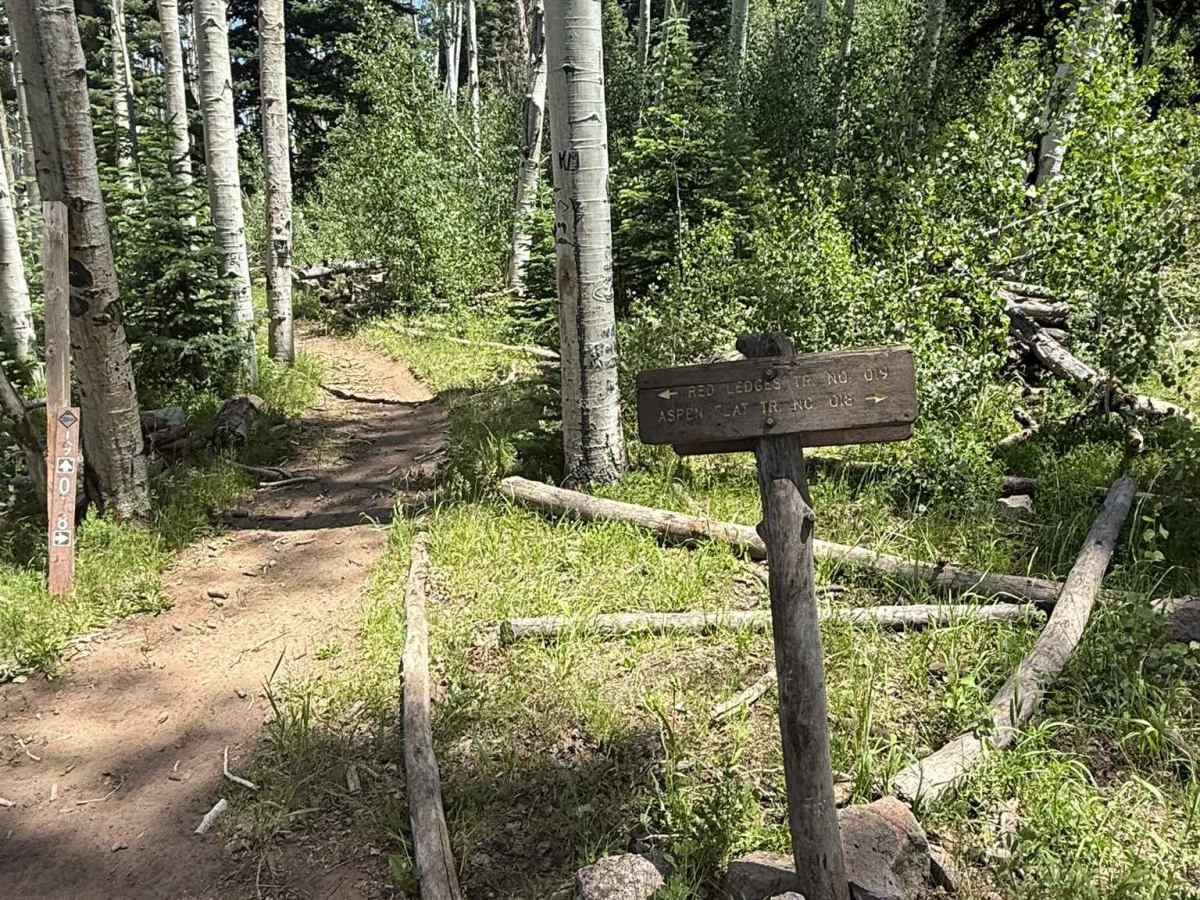Red Ledges Trail No. 019 trail photo