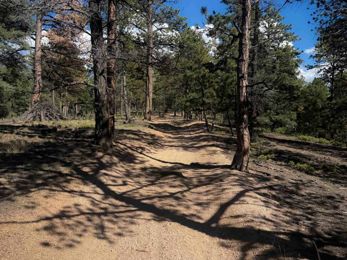 Davis Spur Trail 717C  photo 4