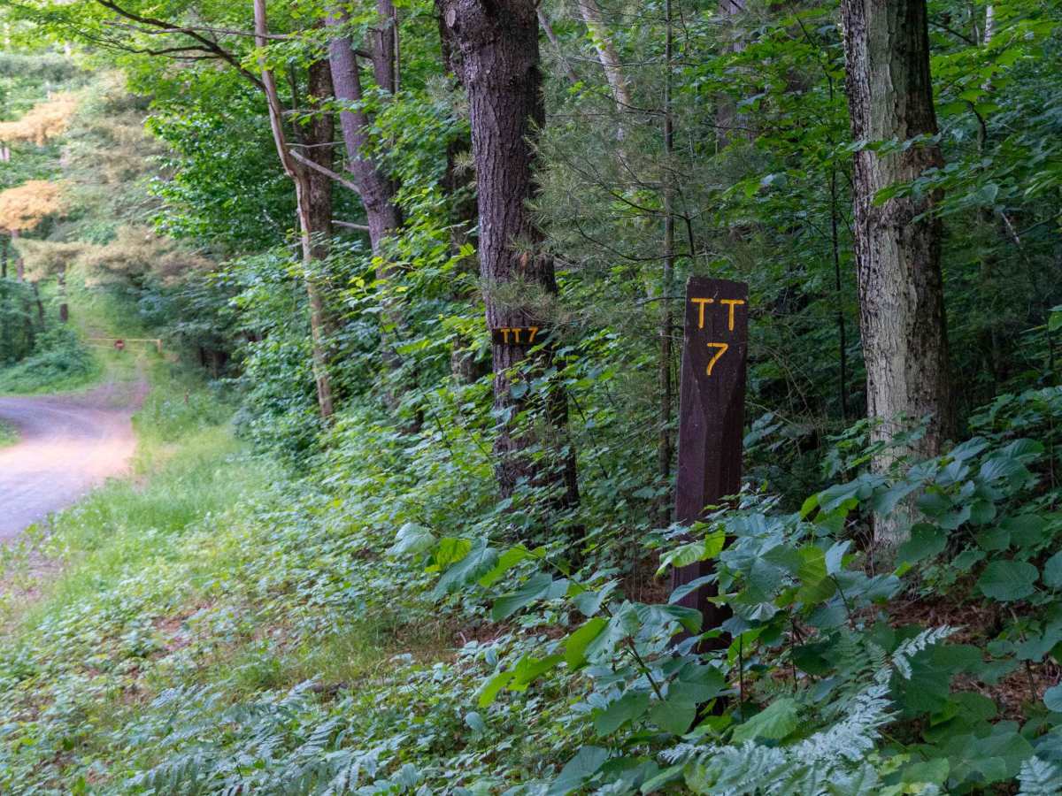 Truck Trail 7 trail photo