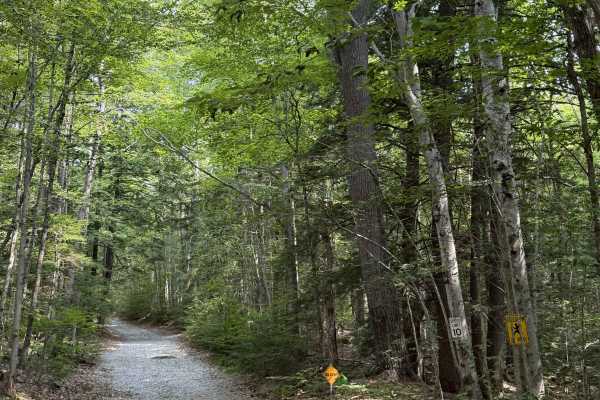 Mink Hill Road