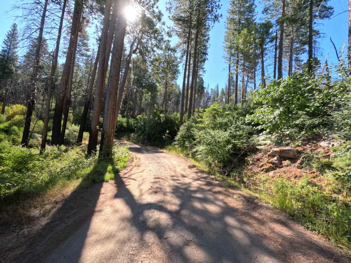 Aspen Valley - FS 1S74 trail photo