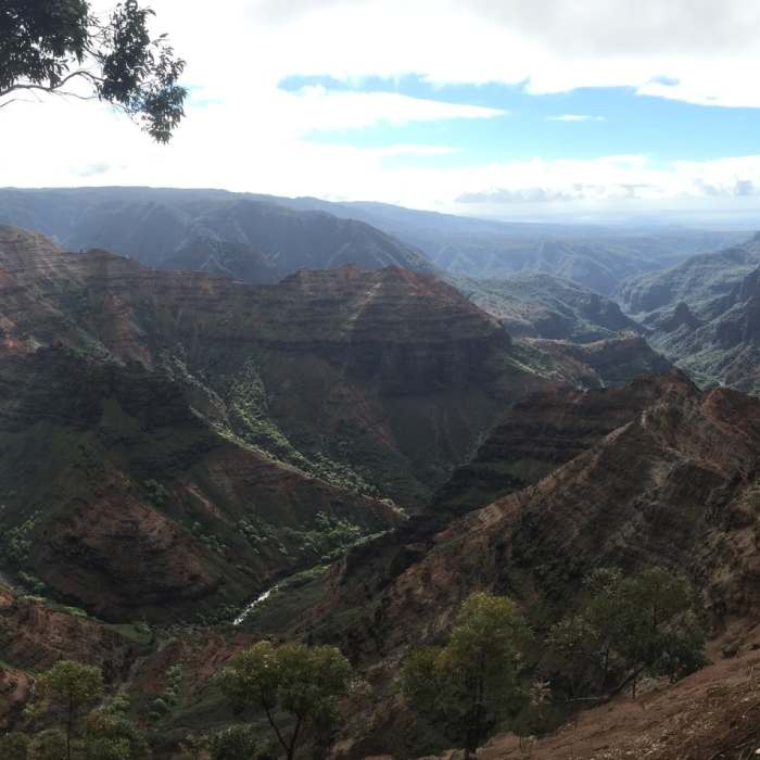 Fine view from the Canyon Trail into Waimea Canyon. Near Kumuwela, Canyon, Halemanu-Kokee Loop