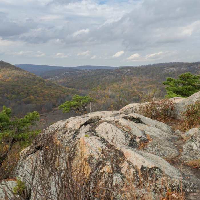 Near Popolopen Torne