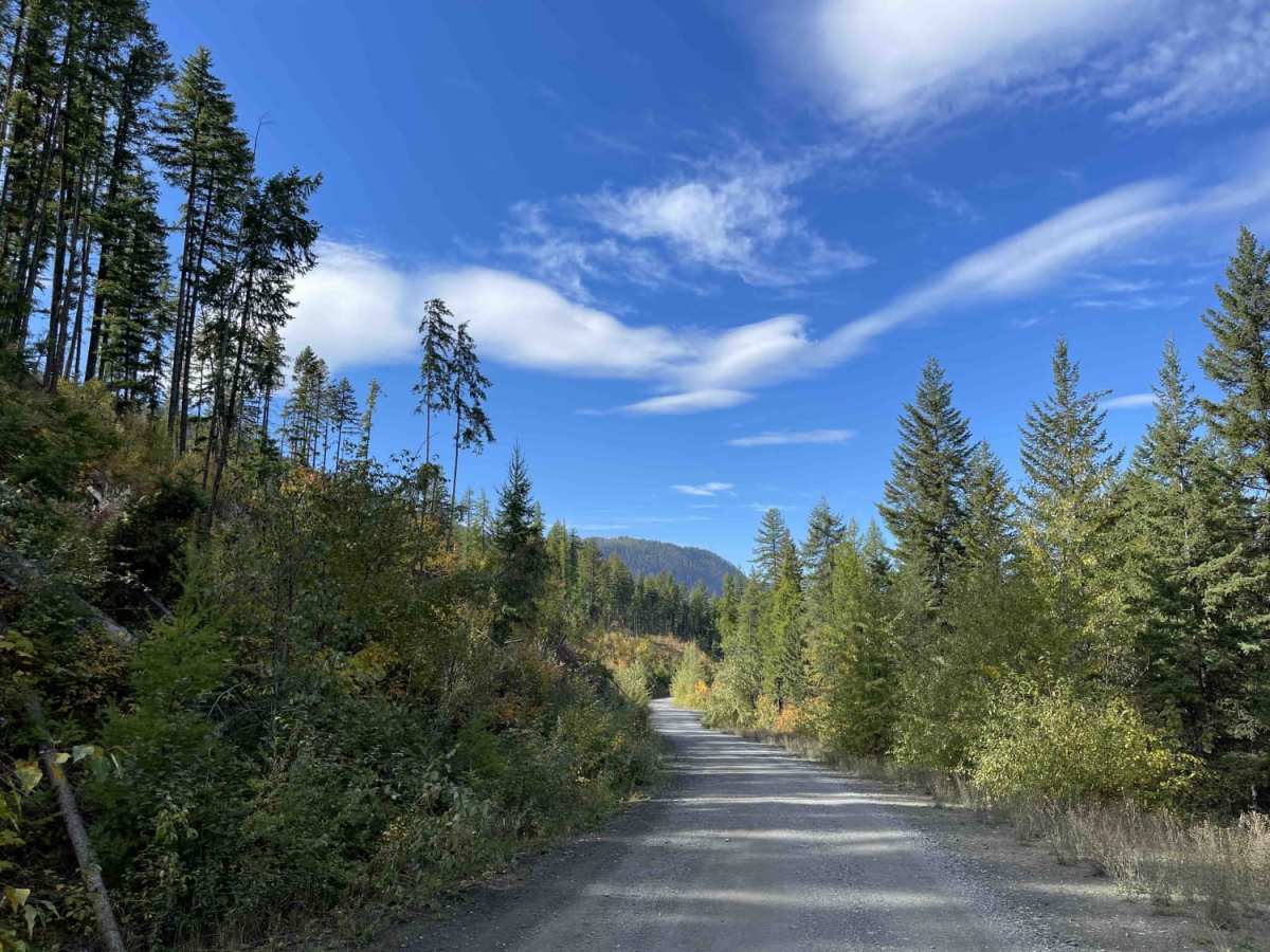 Heckman Creek Road photo 3