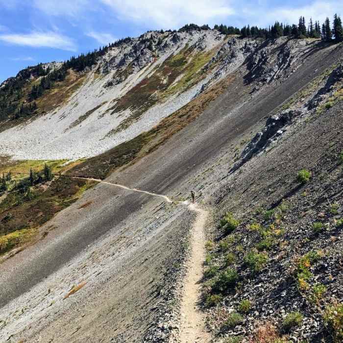 Near Pacific Crest Trail: Section L Rainy Pass to Monument 78