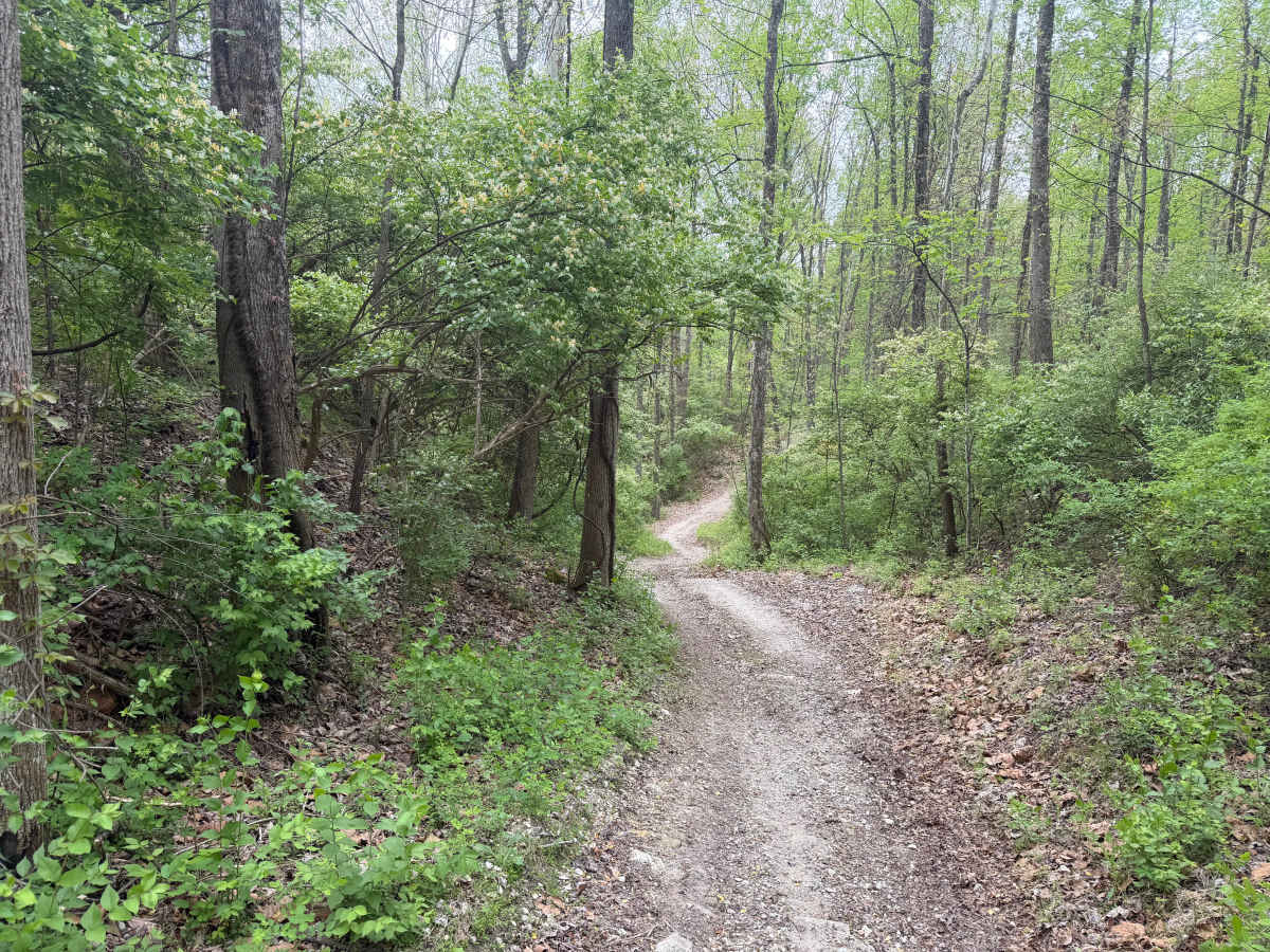 Lake View Trail photo 6