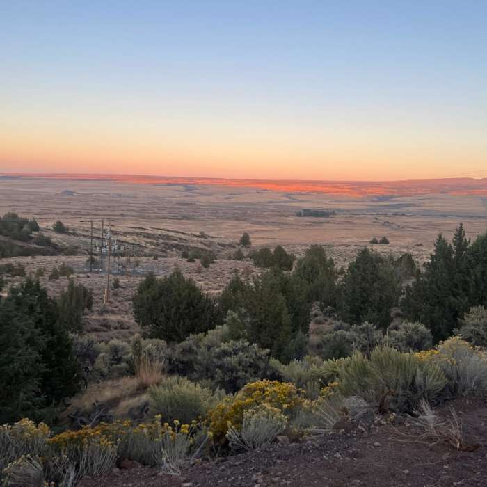 Near Frenchglen Loop Near Frenchglen Loop