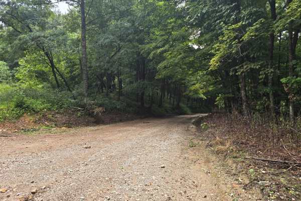 Connector Trail 50