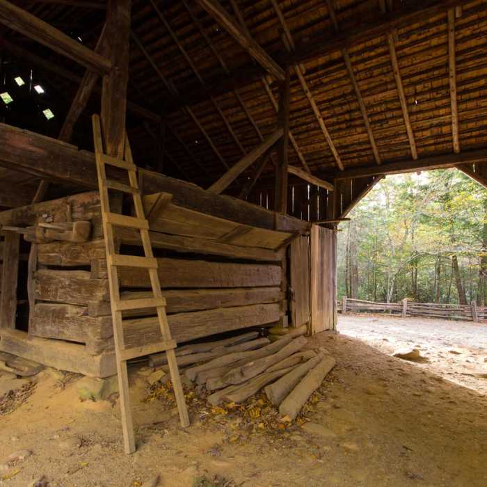 Near Cades Cove Loop Near Cades Cove Loop