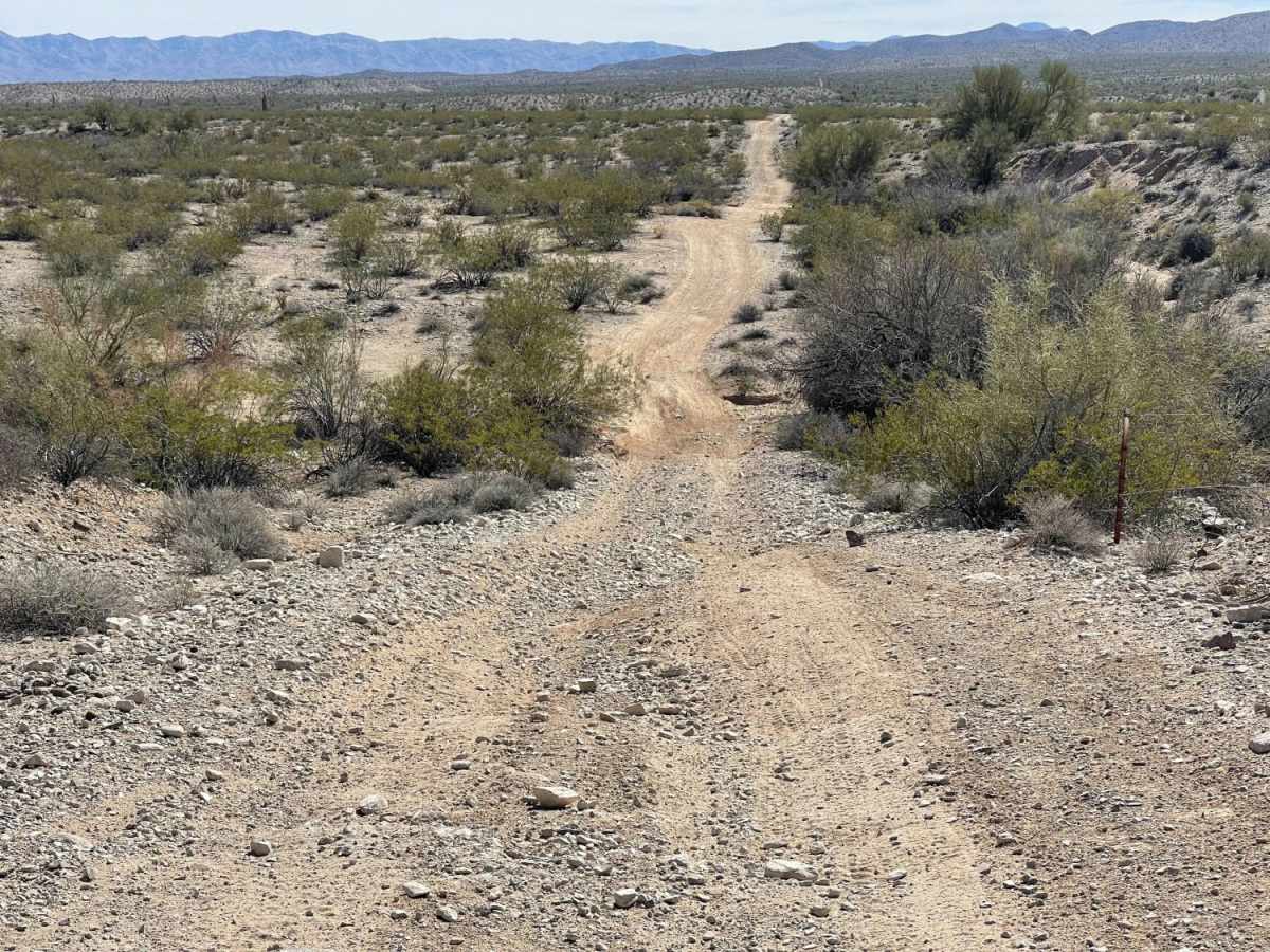 Fun Fence Line Rip trail photo