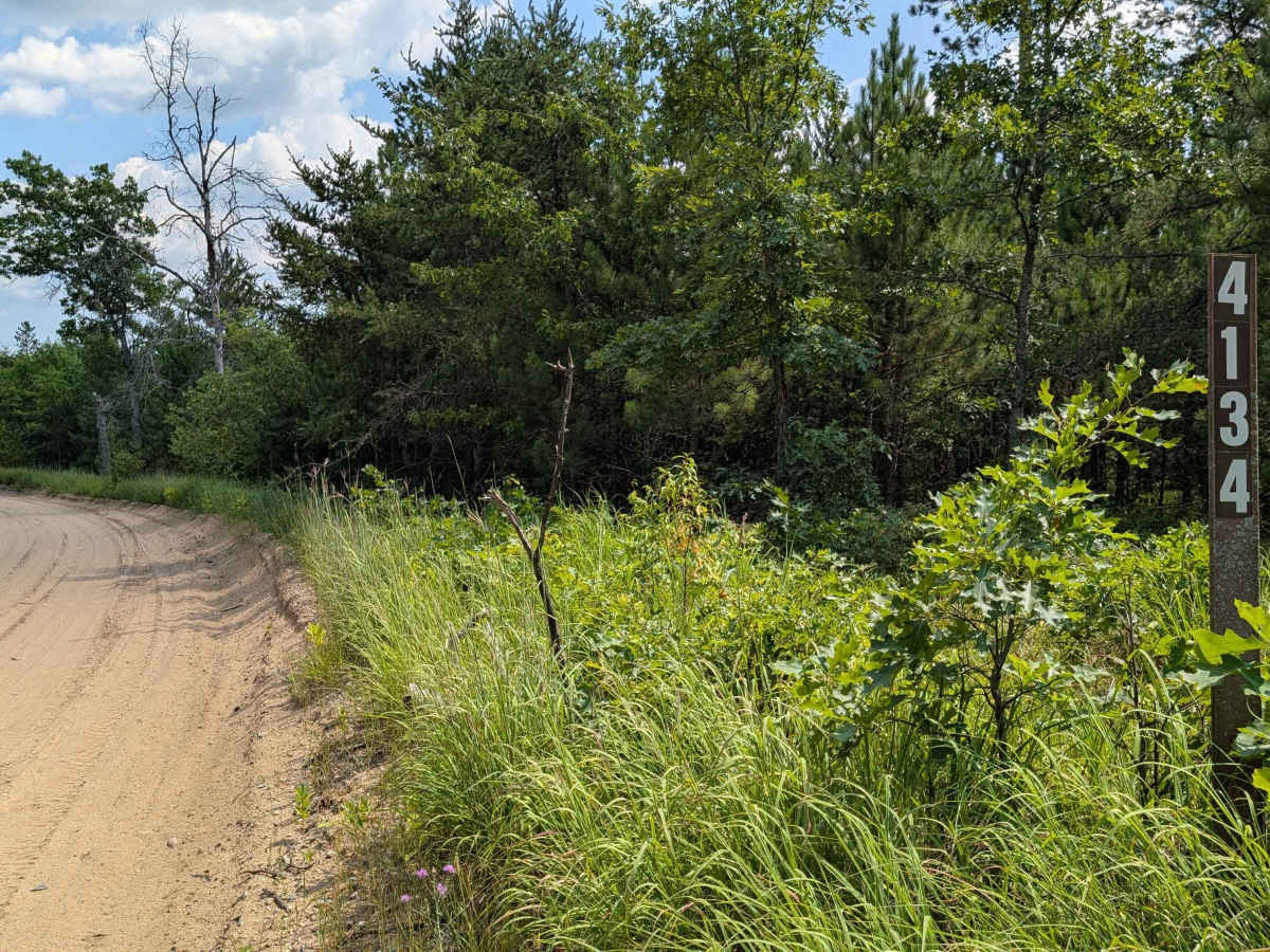 Curtisville Road - FS 4134 photo 3