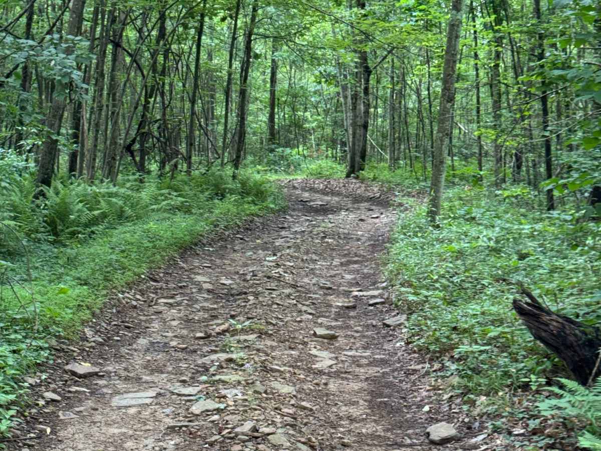 Trail 17 photo 5