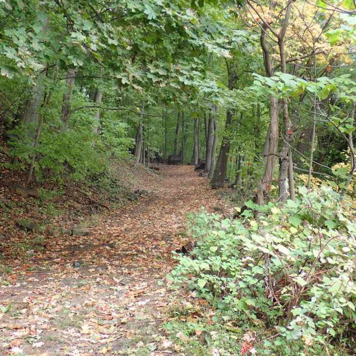 Near Huyler's Landing History Loop