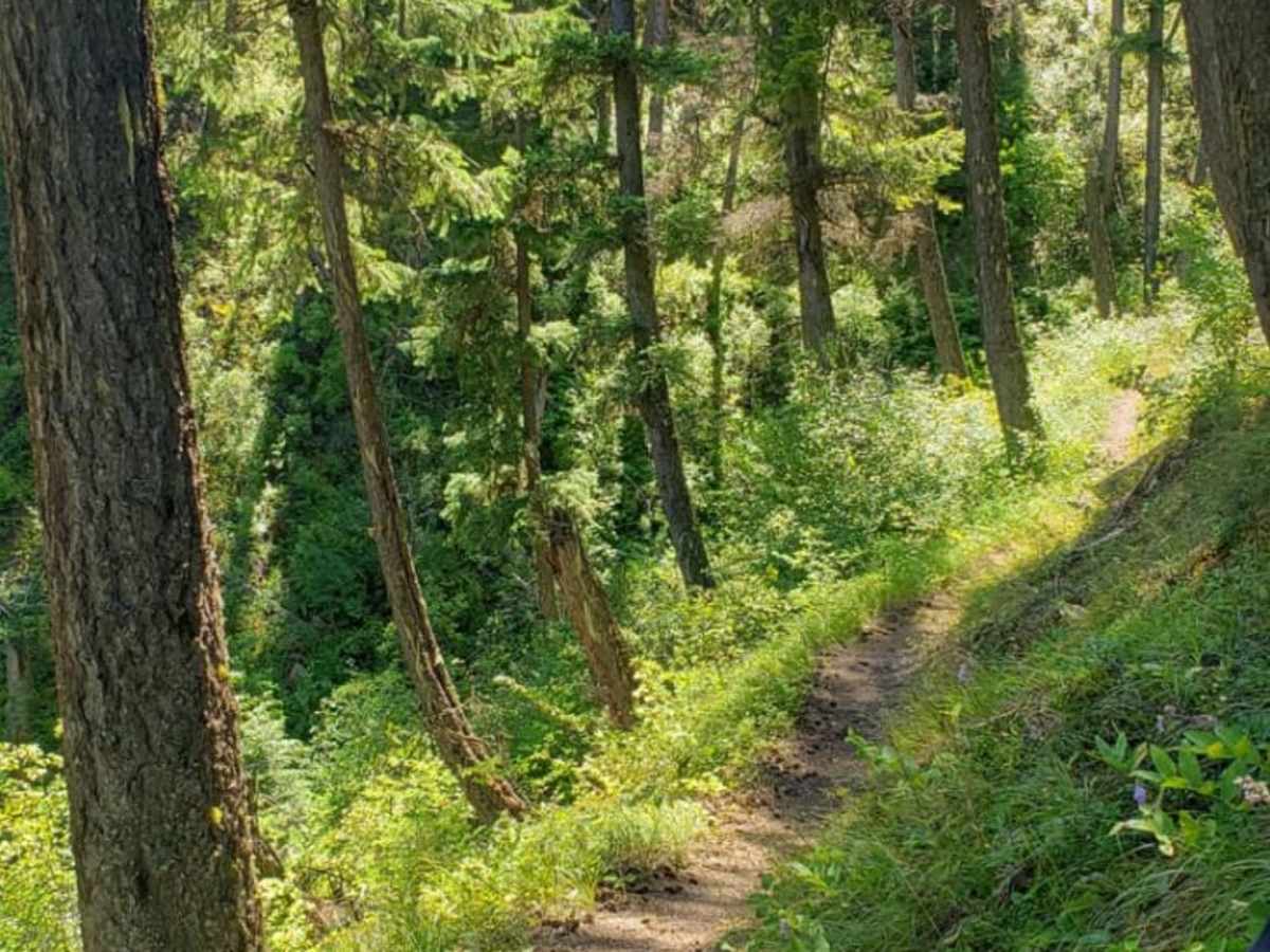 River Trail photo 3