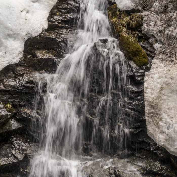 Near Williams Lake Hike