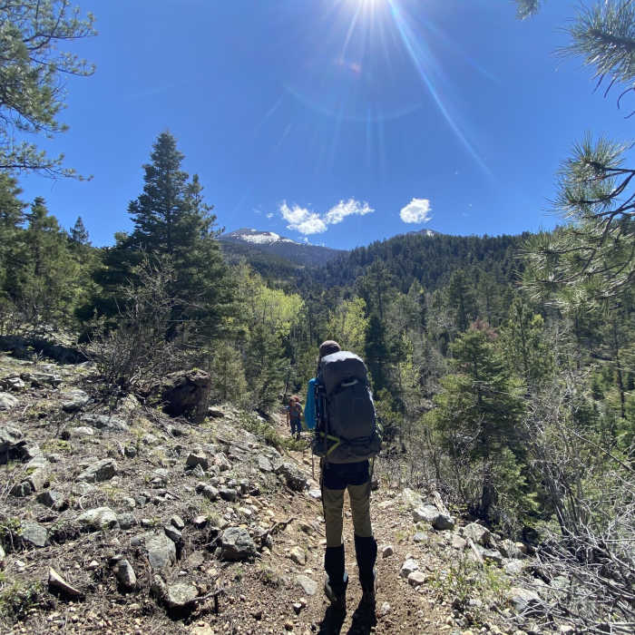 Near Rainbow Trail #1336: Hayden Creek to Bear Creek