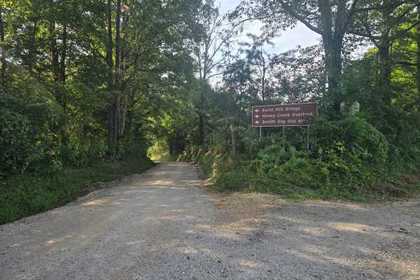 Honey Creek Loop Road