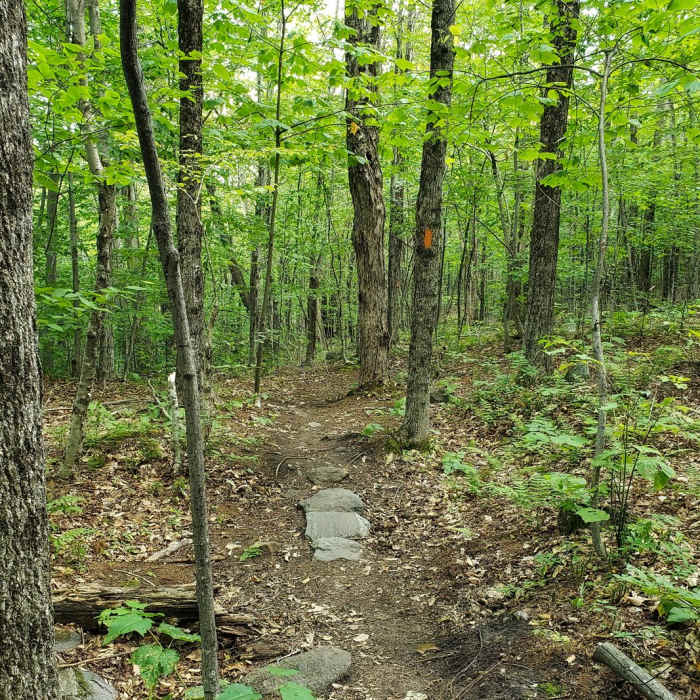 Near Mount Sunapee via Newbury Trail