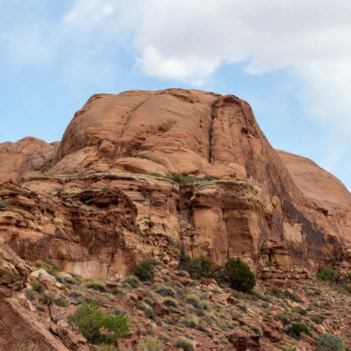 Near Butler Canyon Trail