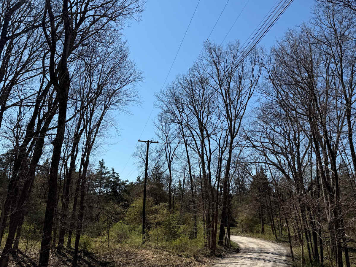 Tankhannen Road photo 3