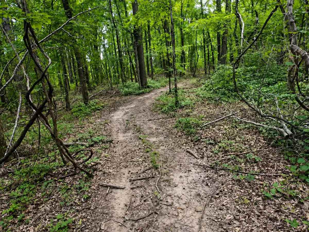 Billy's Bypass trail photo