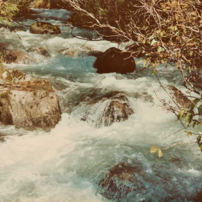 The creek flows rigorously along the East Glacier Trail in Tongass National Forest. Near East Glacier Trail