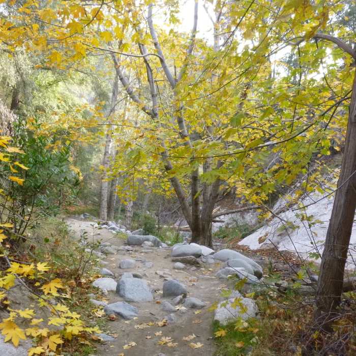 Near Oakwilde Trail Camp