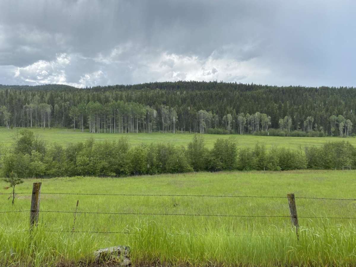 Smackout Pass photo 3