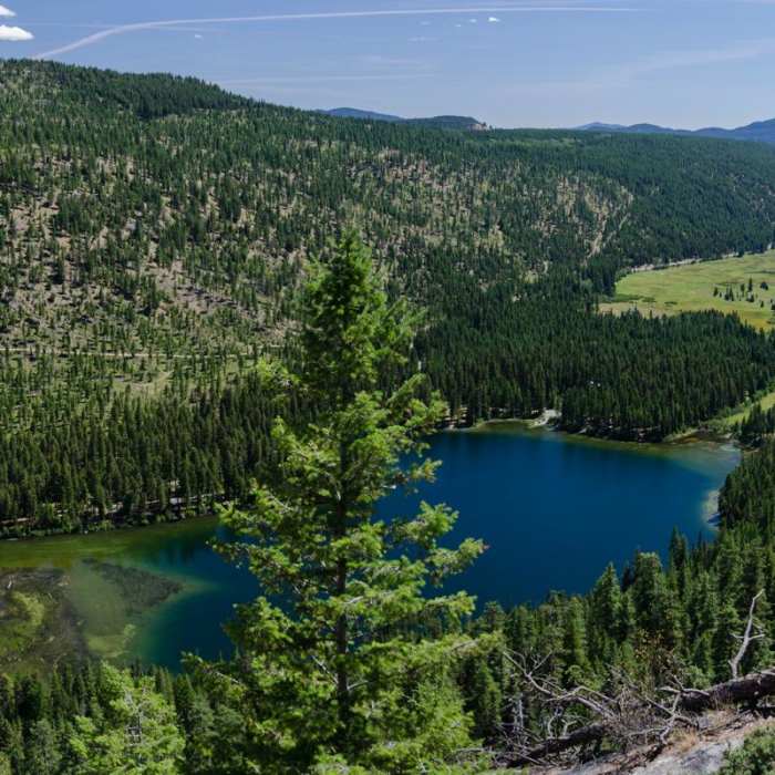 Near Pacific Northwest National Scenic Trail Section 8