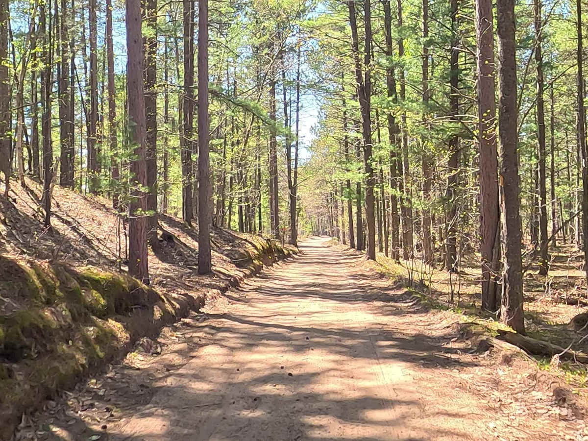 W Betsy River Road trail photo