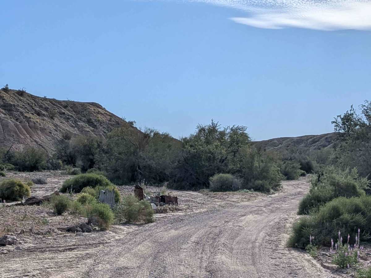 EC1184 trail photo
