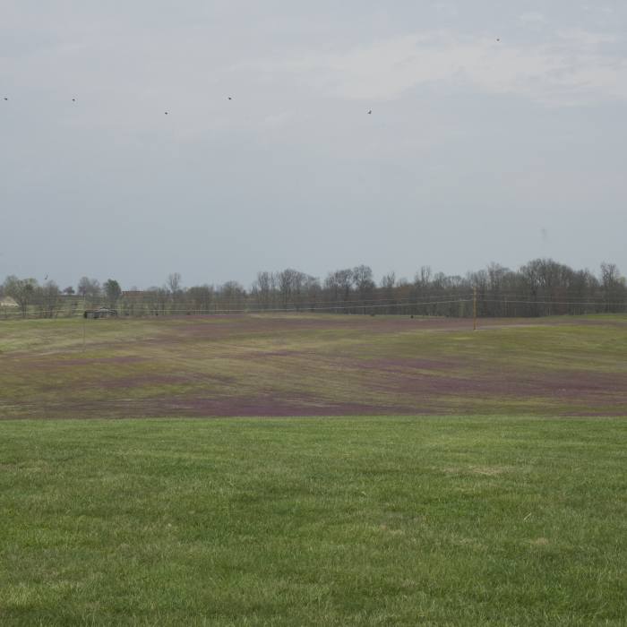 A look over the fields where the battle raged in January 1862. Near Ravine Trail