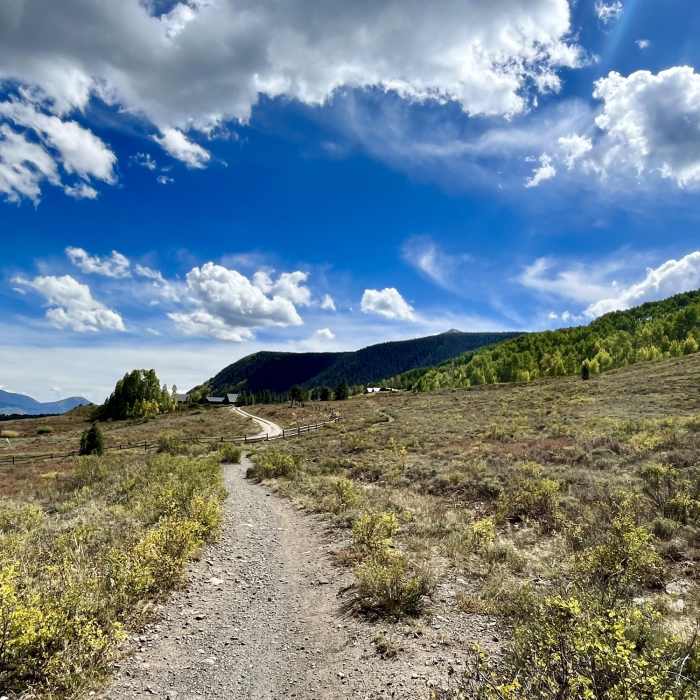 Lower loop looking south. Near Woods Walk Out and Back