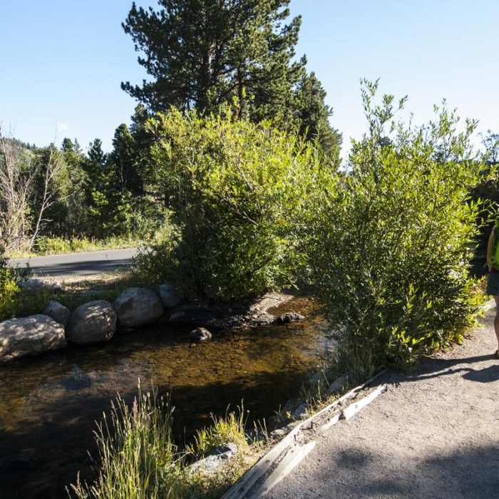 Near Sprague Lake Loop Hike