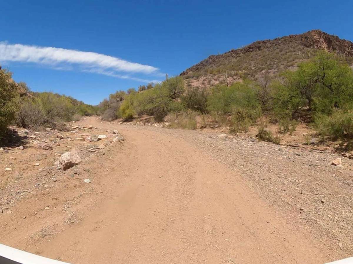 Walker Gulch to Senator Highway and Crown King photo 4