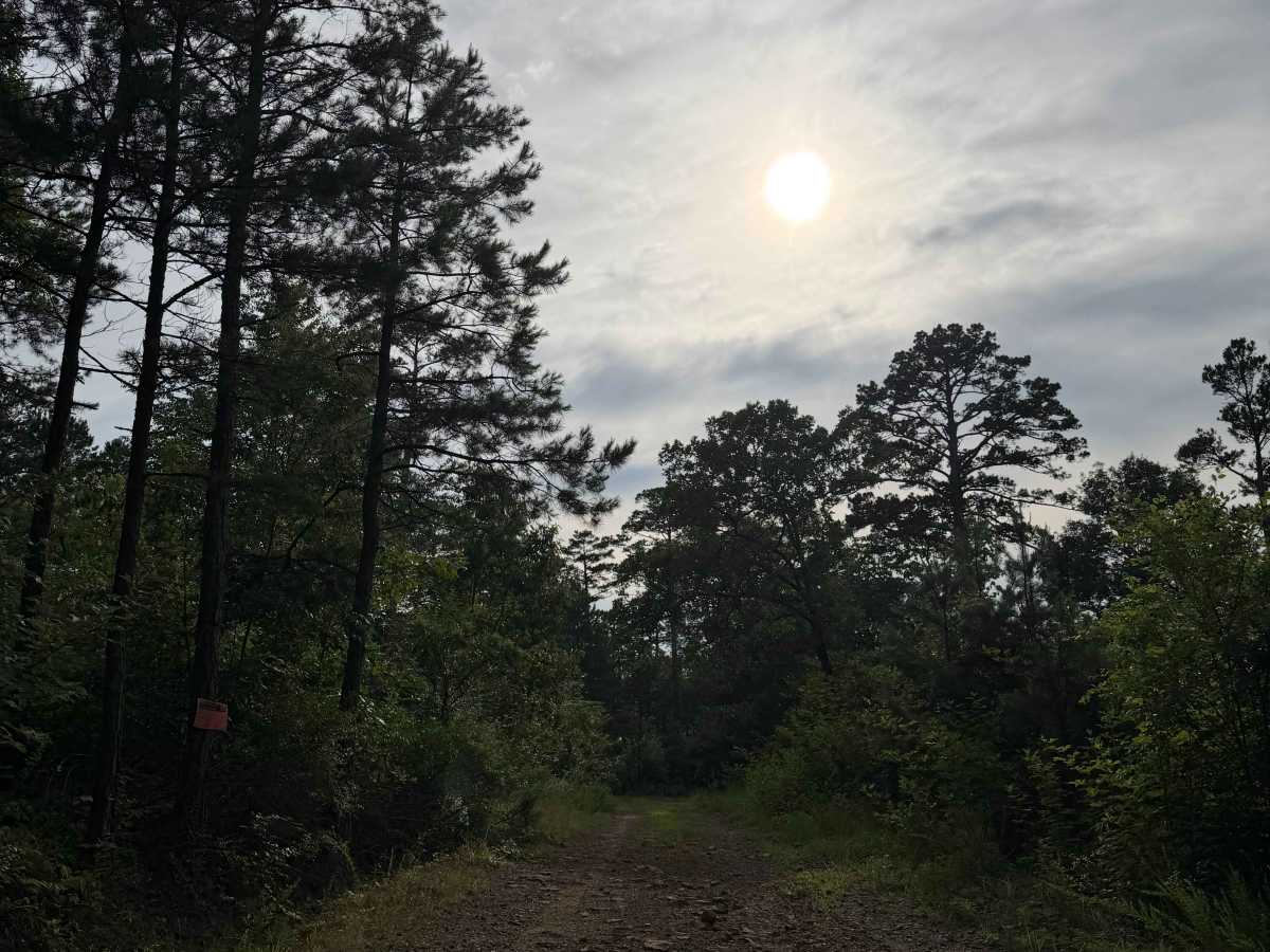 Waterside Punch trail photo