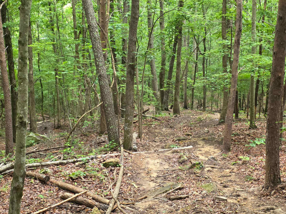 Brocato's Boulders photo 4