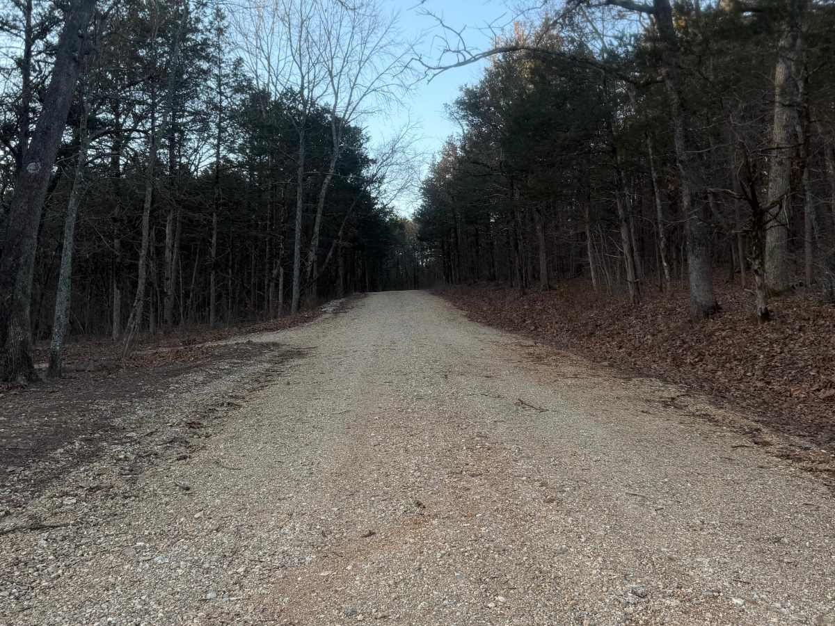 CarrLow Gap photo 3