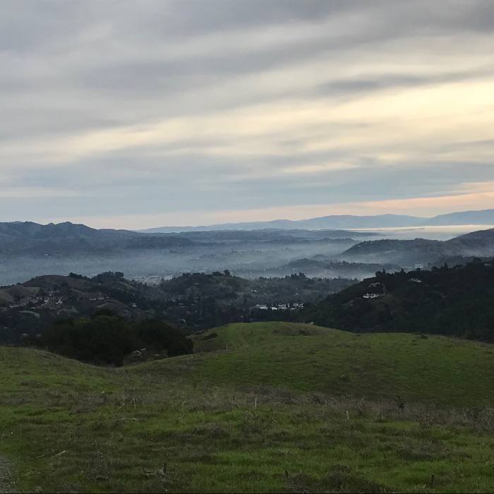 Near 10k Loop at Briones