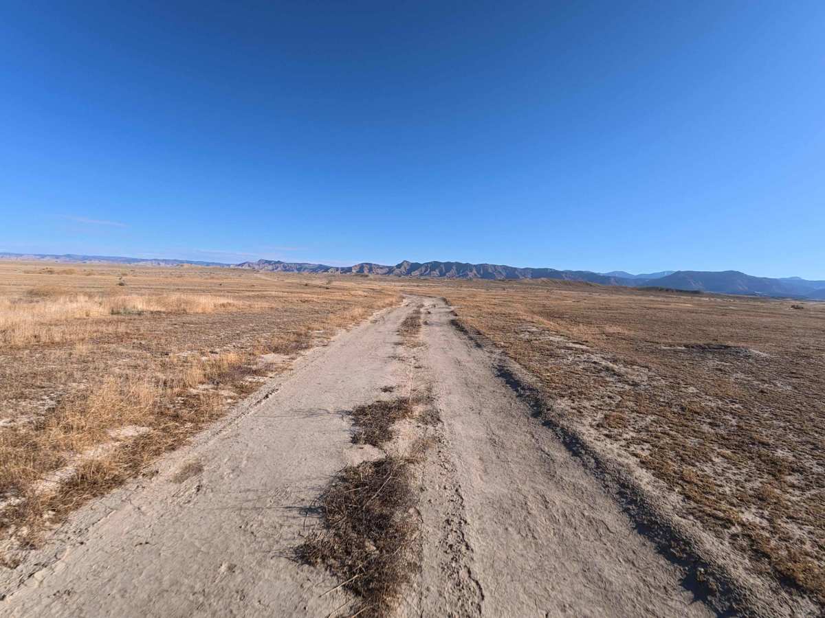 BLM 175 photo 4