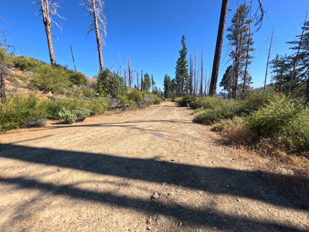 Spanish Ridge - FS 21N39 photo 2