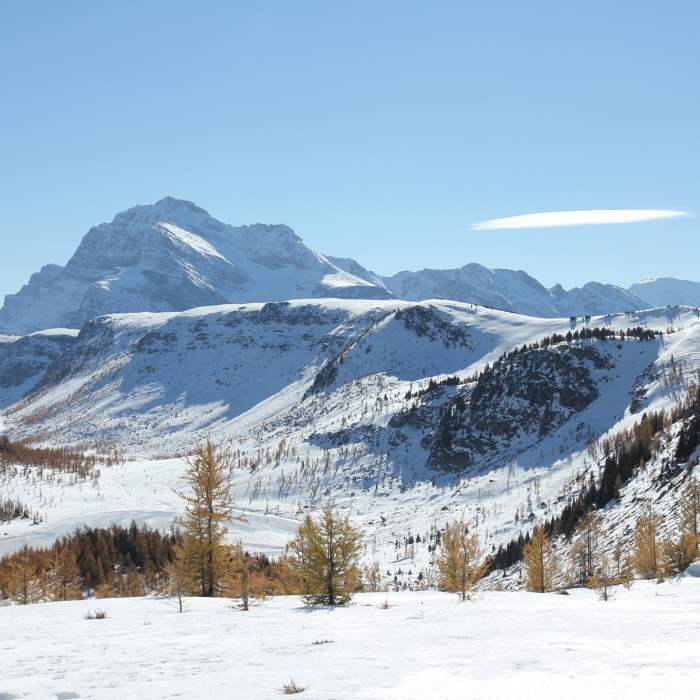 Near Healy Pass Out and Back