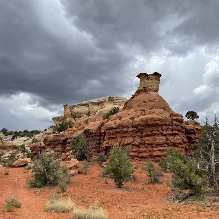 Near Sand Canyon Trail