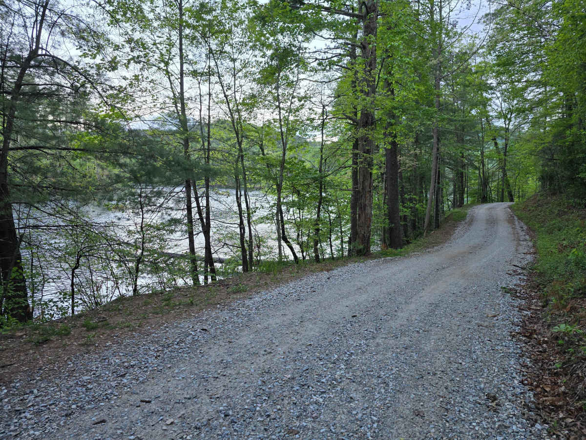 Long Hungry Branch photo 5