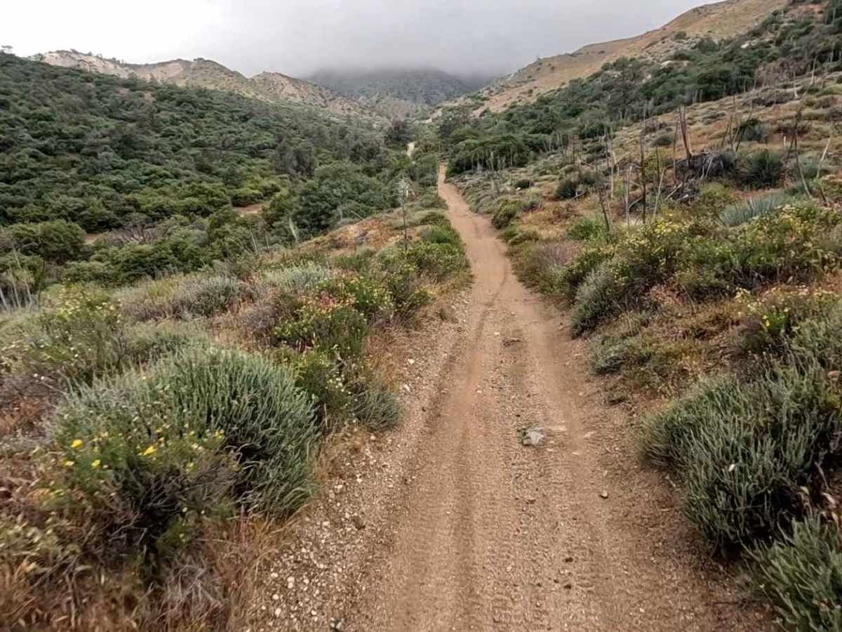 Coyote Trail photo 6