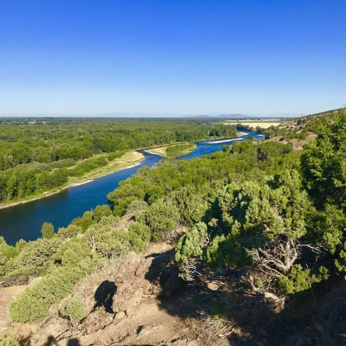 Near Cress Creek Nature Trail